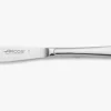 ARCOS Cuchillos Para Mesa|Cuchillo Mesa Micro-serrado 100 mm Serie Berlín