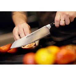 ARCOS Cuchillos Para Pescado|Japoneses|Cuchillo Rocking Santoku Serie Manhattan 190 mm