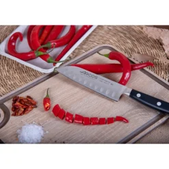 ARCOS Japoneses|Cuchillo Santoku Serie Ópera 140 mm