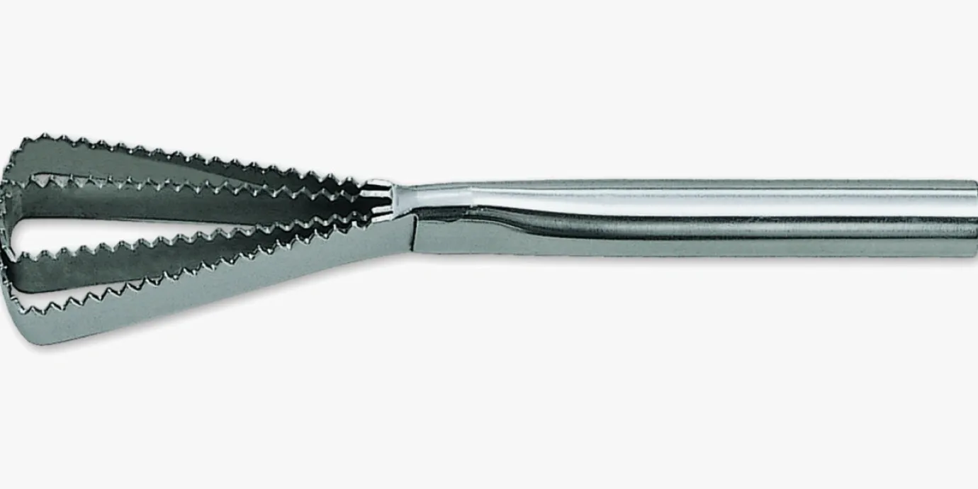 ARCOS Utensilios Profesionales|Escamador de Pescado 260 mm