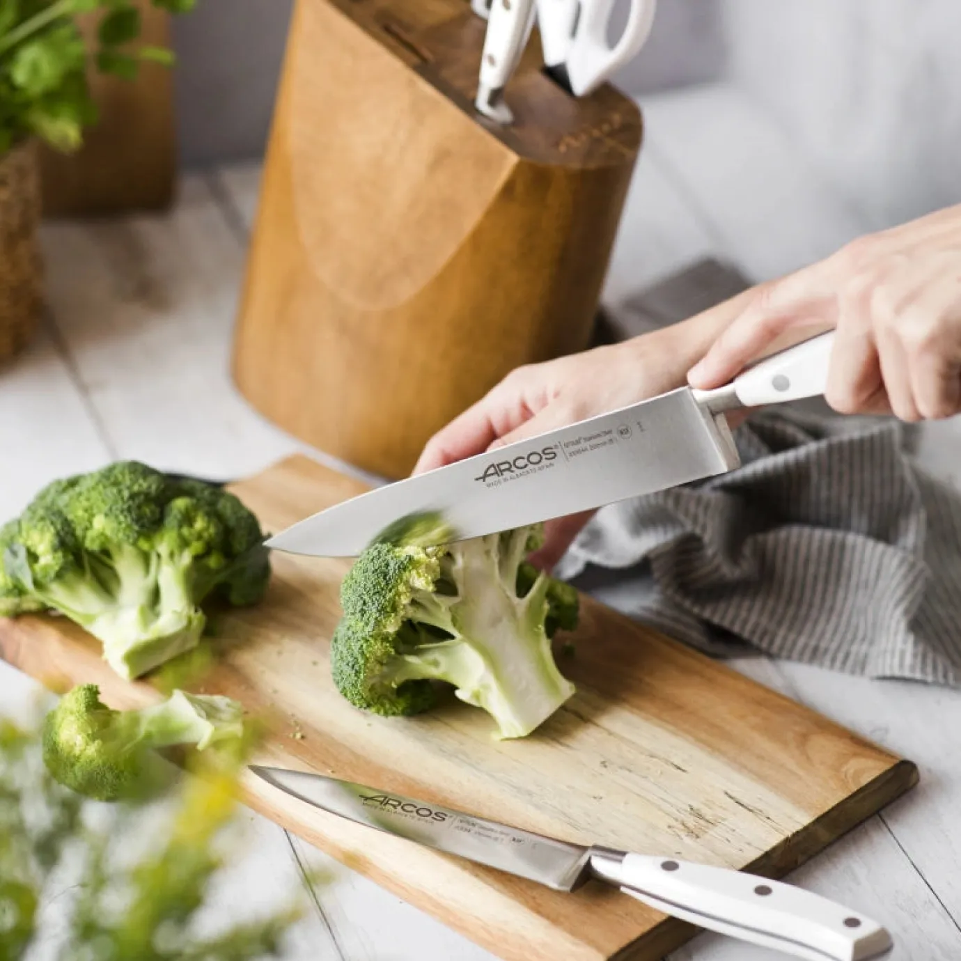 ARCOS Juegos De Cuchillos De Cocina|Juego Cocina 4 pzas. Serie Riviera Blanc + Tijeras + Taco Madera